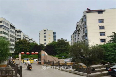 市中区广场花园3室2厅1卫143平米